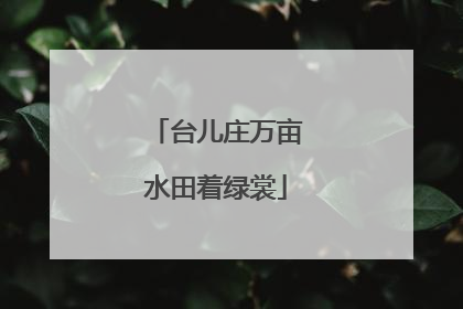 台儿庄万亩水田着绿裳