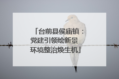 台前县侯庙镇：党建引领绘新景 环境整治焕生机