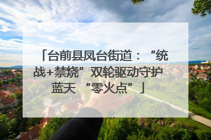 台前县凤台街道：“统战+禁烧”双轮驱动守护蓝天 “零火点”