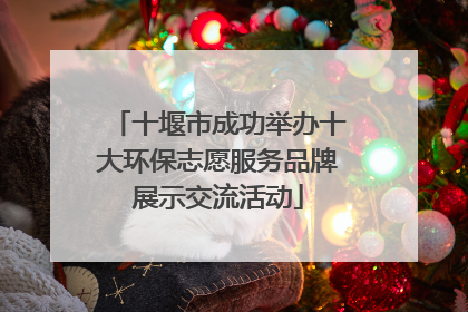 十堰市成功举办十大环保志愿服务品牌展示交流活动