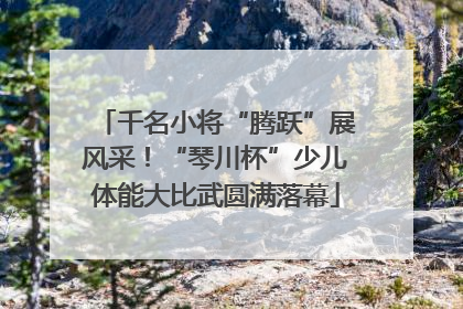 千名小将“腾跃”展风采！“琴川杯”少儿体能大比武圆满落幕