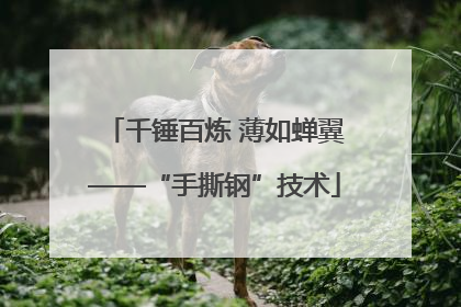 千锤百炼 薄如蝉翼——“手撕钢”技术