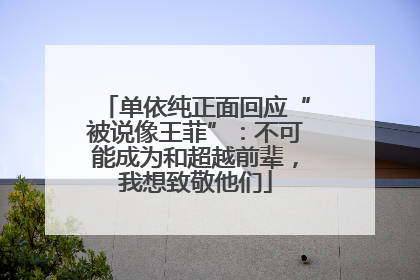 单依纯正面回应“被说像王菲”：不可能成为和超越前辈，我想致敬他们