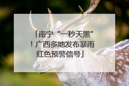 南宁“一秒天黑”！广西多地发布暴雨红色预警信号