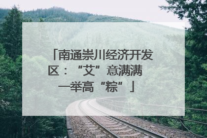 南通崇川经济开发区：“艾”意满满 一举高“粽”