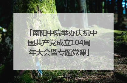 南阳中院举办庆祝中国共产党成立104周年大会暨专题党课