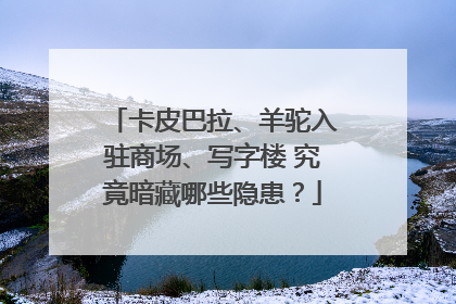 卡皮巴拉、羊驼入驻商场、写字楼 究竟暗藏哪些隐患？