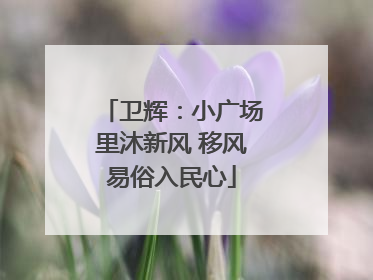卫辉：小广场里沐新风 移风易俗入民心