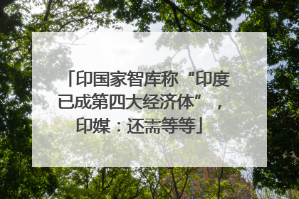 印国家智库称“印度已成第四大经济体”，印媒：还需等等