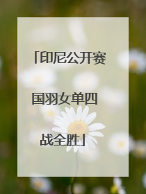 印尼公开赛 国羽女单四战全胜