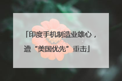 印度手机制造业雄心，遭“美国优先”重击