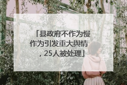 县政府不作为慢作为引发重大舆情，25人被处理
