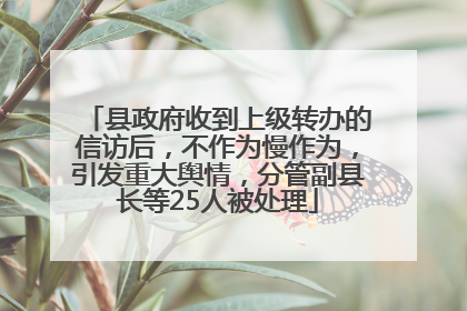 县政府收到上级转办的信访后，不作为慢作为，引发重大舆情，分管副县长等25人被处理
