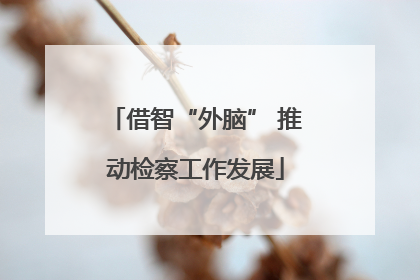 借智“外脑” 推动检察工作发展