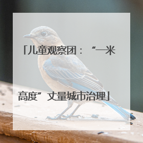 儿童观察团：“一米高度”丈量城市治理