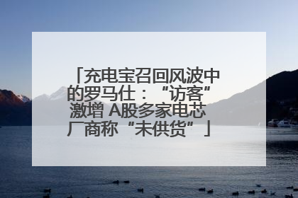 充电宝召回风波中的罗马仕：“访客”激增 A股多家电芯厂商称“未供货”