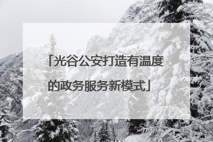 光谷公安打造有温度的政务服务新模式