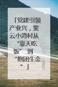 党建引领产业兴，紫云小湾村从 “靠天吃饭” 到 “抱团生金”
