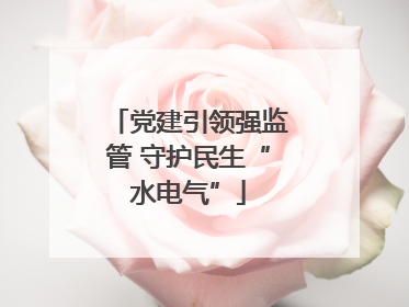 党建引领强监管 守护民生“水电气”
