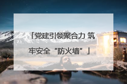党建引领聚合力 筑牢安全“防火墙”