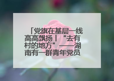 党旗在基层一线高高飘扬丨“去有村的地方”——湖南有一群青年党员这样选择