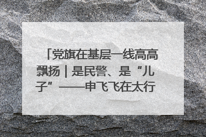 党旗在基层一线高高飘扬｜是民警、是“儿子”——申飞飞在太行山中的一线坚守