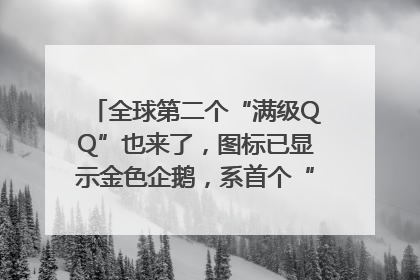 全球第二个“满级QQ”也来了，图标已显示金色企鹅，系首个“满级QQ”的小号
