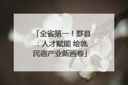 全省第一！黟县：人才赋能 绘就民宿产业新画卷