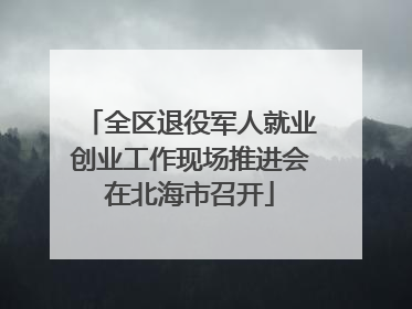 全区退役军人就业创业工作现场推进会在北海市召开