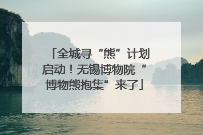 全城寻“熊”计划启动！无锡博物院“博物熊抱集”来了