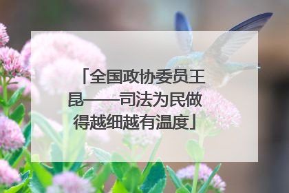 全国政协委员王昆——司法为民做得越细越有温度