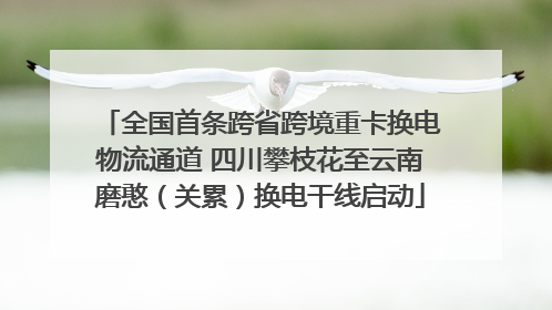 全国首条跨省跨境重卡换电物流通道 四川攀枝花至云南磨憨（关累）换电干线启动