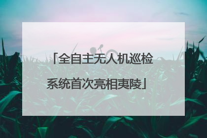 全自主无人机巡检系统首次亮相夷陵