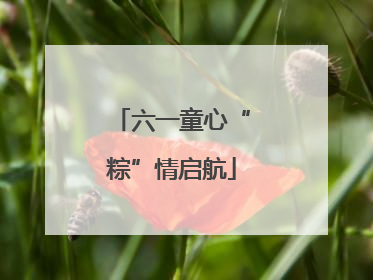六一童心“粽”情启航