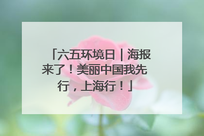 六五环境日｜海报来了！美丽中国我先行，上海行！