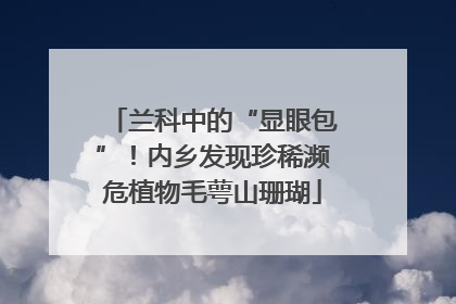兰科中的“显眼包”！内乡发现珍稀濒危植物毛萼山珊瑚