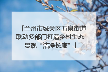 兰州市城关区五泉街道联动多部门打造乡村生态景观“洁净长廊”