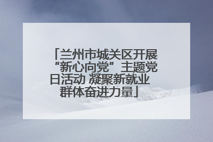 兰州市城关区开展“新心向党”主题党日活动 凝聚新就业群体奋进力量
