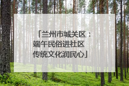兰州市城关区：端午民俗进社区 传统文化润民心
