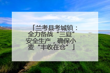 兰考县考城镇：全力备战“三夏”安全生产，确保小麦“丰收在仓”