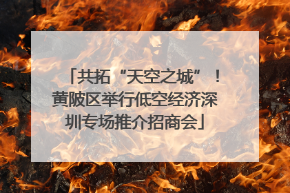 共拓“天空之城”！黄陂区举行低空经济深圳专场推介招商会