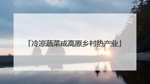 冷凉蔬菜成高原乡村热产业