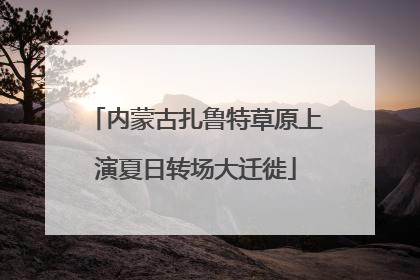 内蒙古扎鲁特草原上演夏日转场大迁徙