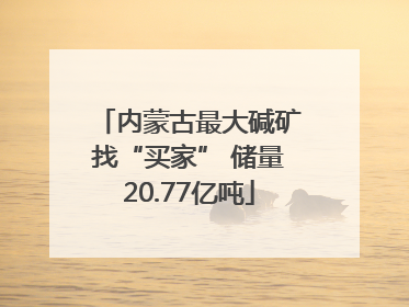 内蒙古最大碱矿找“买家” 储量20.77亿吨