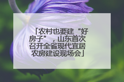农村也要建“好房子”，山东首次召开全省现代宜居农房建设现场会