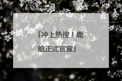 冲上热搜！鹿晗正式官宣