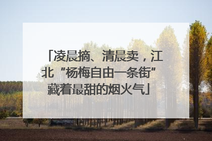 凌晨摘、清晨卖，江北“杨梅自由一条街”藏着最甜的烟火气
