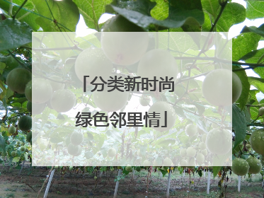 分类新时尚 绿色邻里情