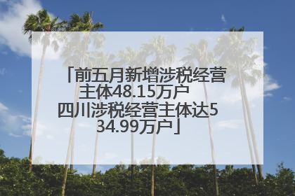 前五月新增涉税经营主体48.15万户 四川涉税经营主体达534.99万户