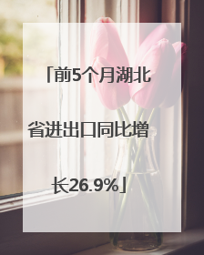 前5个月湖北省进出口同比增长26.9%